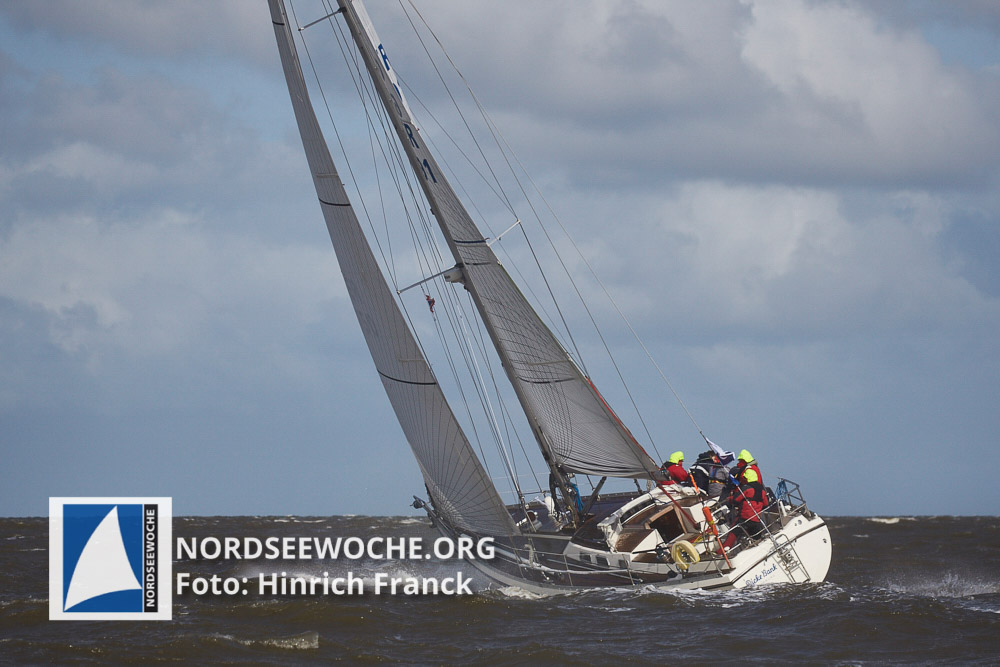 W2-20160514-_51P6996_HFranck_HFranck