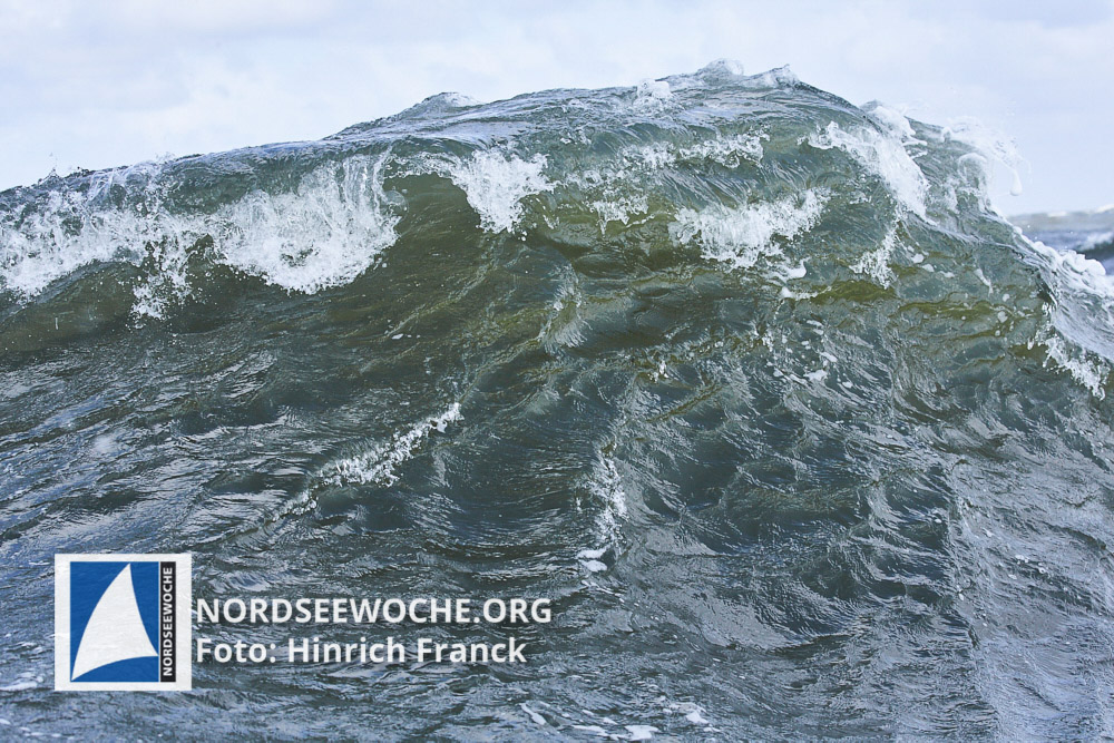 W2-20160514-_51P7280_HFranck_HFranck
